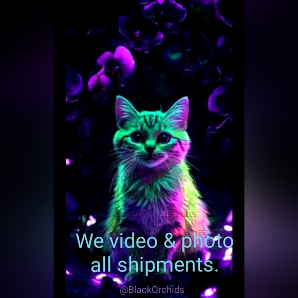 VINCE CAMUTO 7 BLACK SATIN & SPARKLY RHINESTONES PLATFORM HEELS w BOW cocktail - Picture 11 of 11